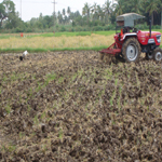Ploughing to Incorporate Stubbles